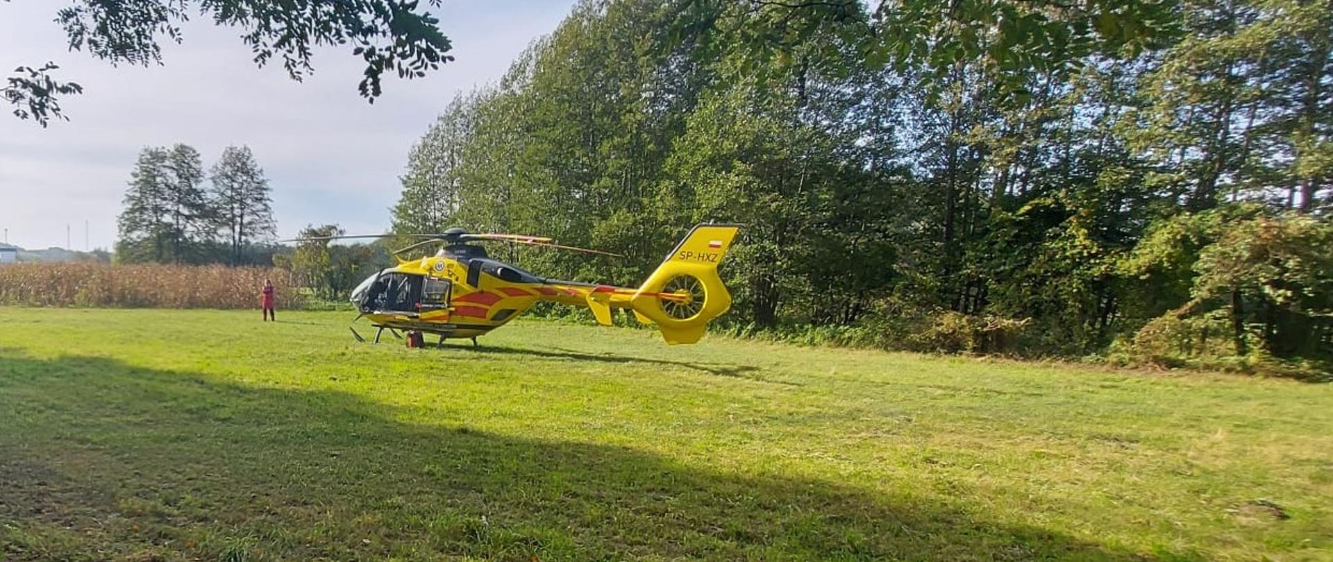 Śmigłowiec LPR stoi na łące obok drzew.