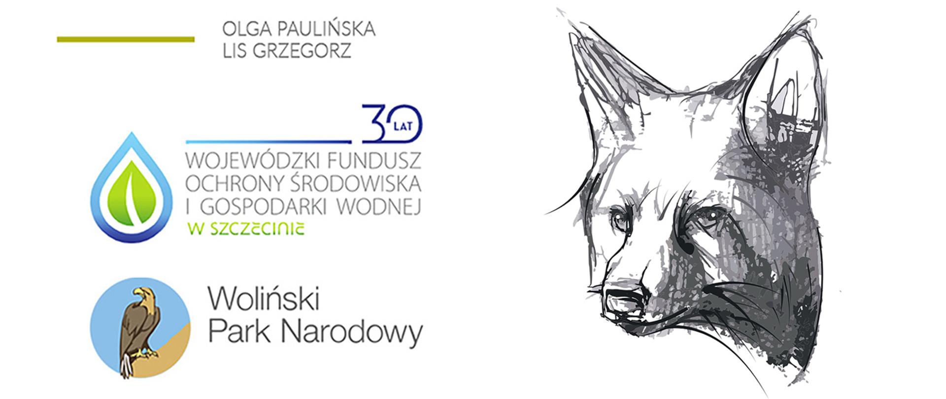 Grafika przedstawia z prawej strony czarno biały szkic głowy lisa. Z lewej strony znajdują się logotypy Wolańskiego Parku Narodowego, Wojewódzkiego Funduszu Ochrony Środowiska I Gospodarki Wodnej oraz imię i nazwisko autora wraz z tytułem pracy: Olga Paulińska, Lis Grzegorz