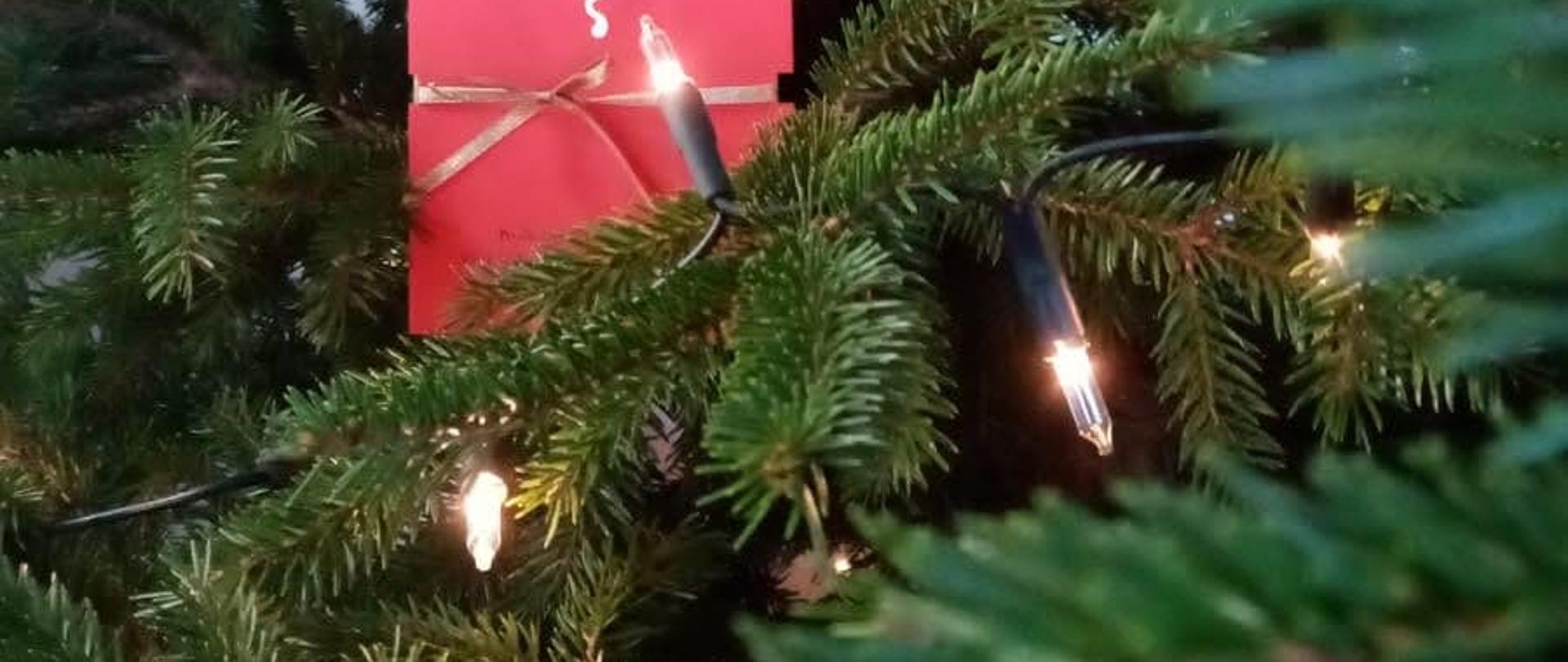 Choinka z kartką świąteczną