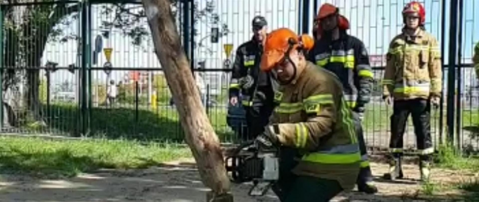 Ćwiczenia z pilarkami JRG 2