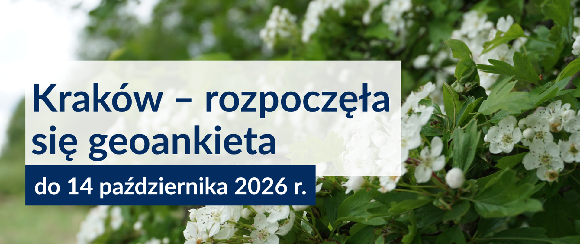 25_Kraków_–_rozpoczęła_się_geoankieta