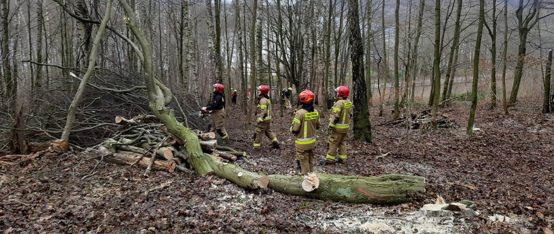 Uczestnicy w trakcie wykonywania ćwiczeń