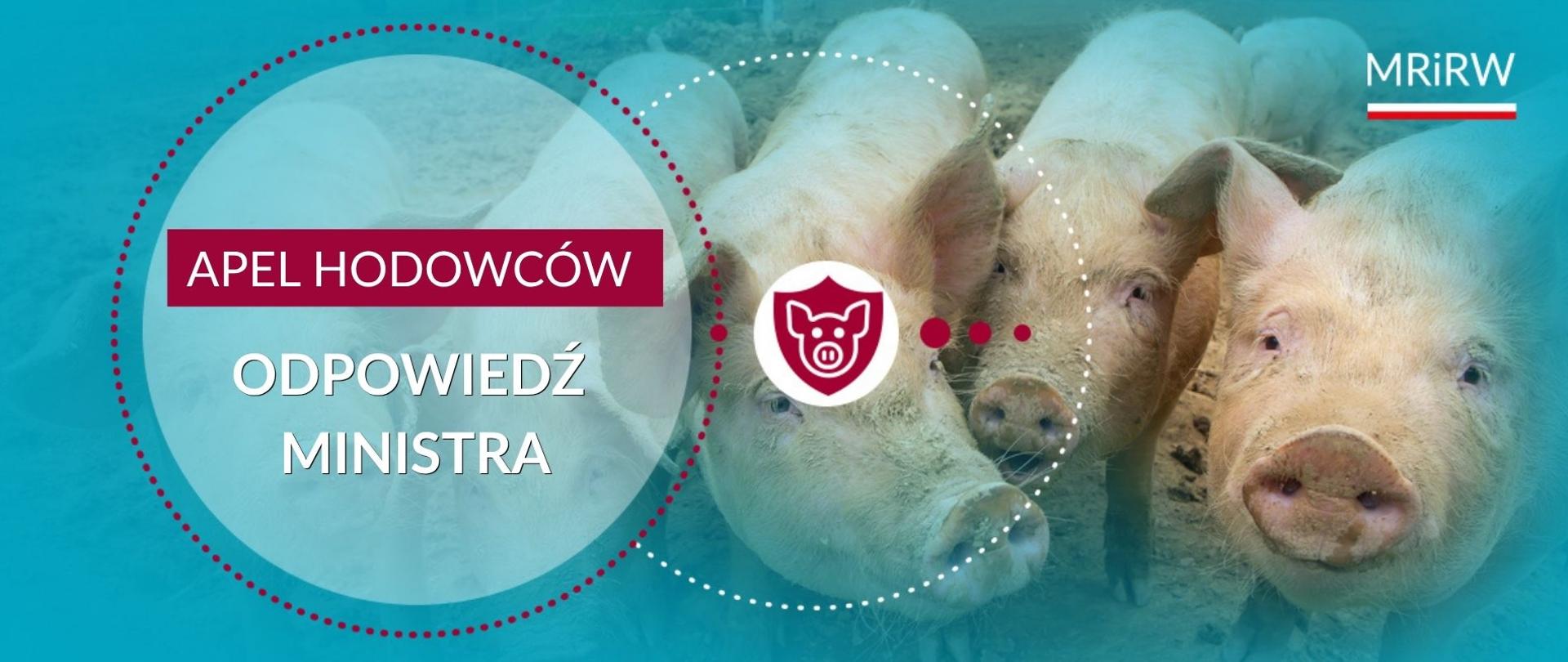 Główne