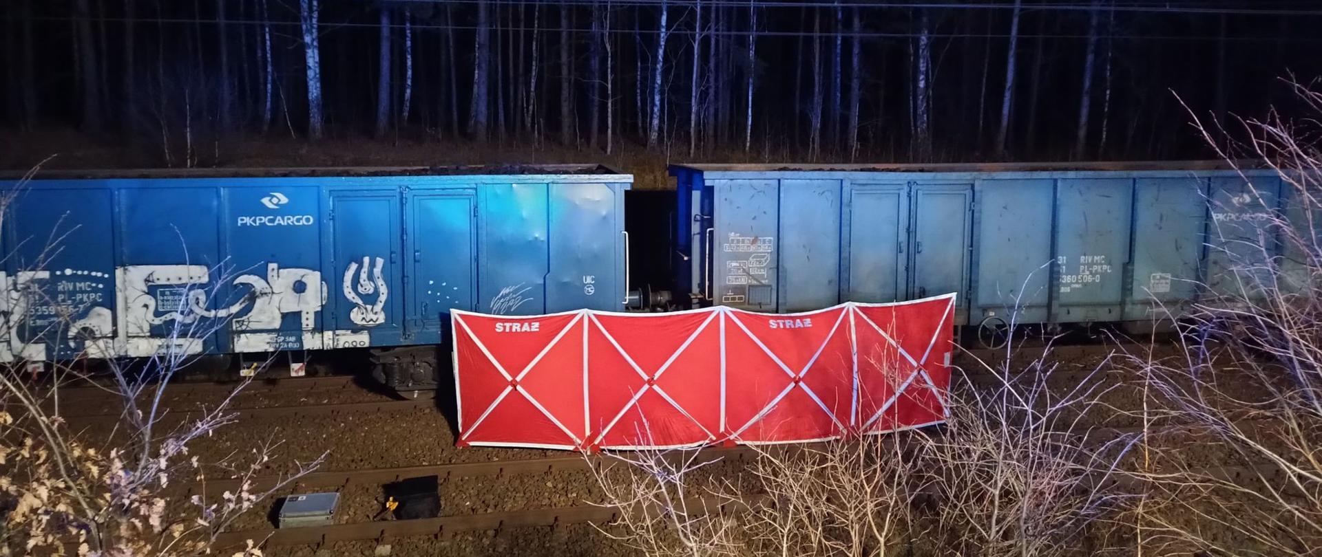 Na zdjęciu widać dwa wagony towarowe oraz parawan.