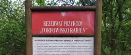 tablica informacyjna rezerwatu przyrody Torfowisko Rąbień stojąca w lesie 