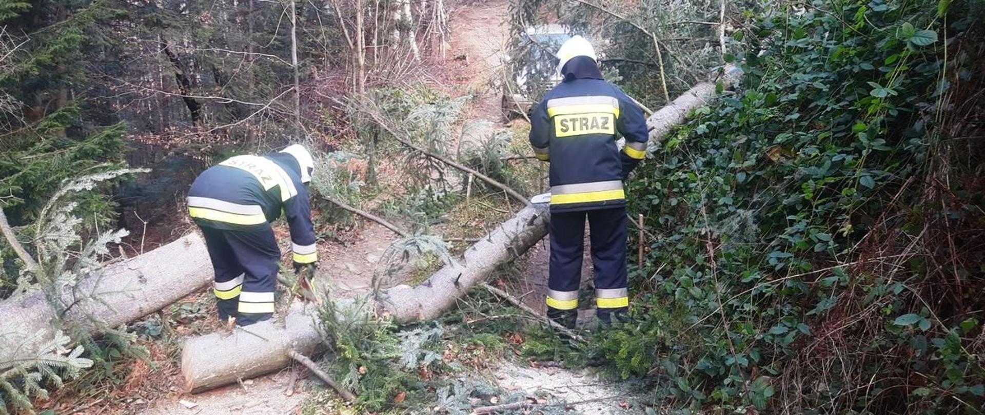 Na zdjęciu strażacy usuwający powalone drzewo z drogi
