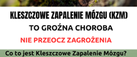 Kleszczowe zapalenie mózgu (KZM) 