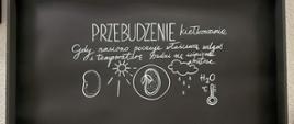 2 Kiełkowanie