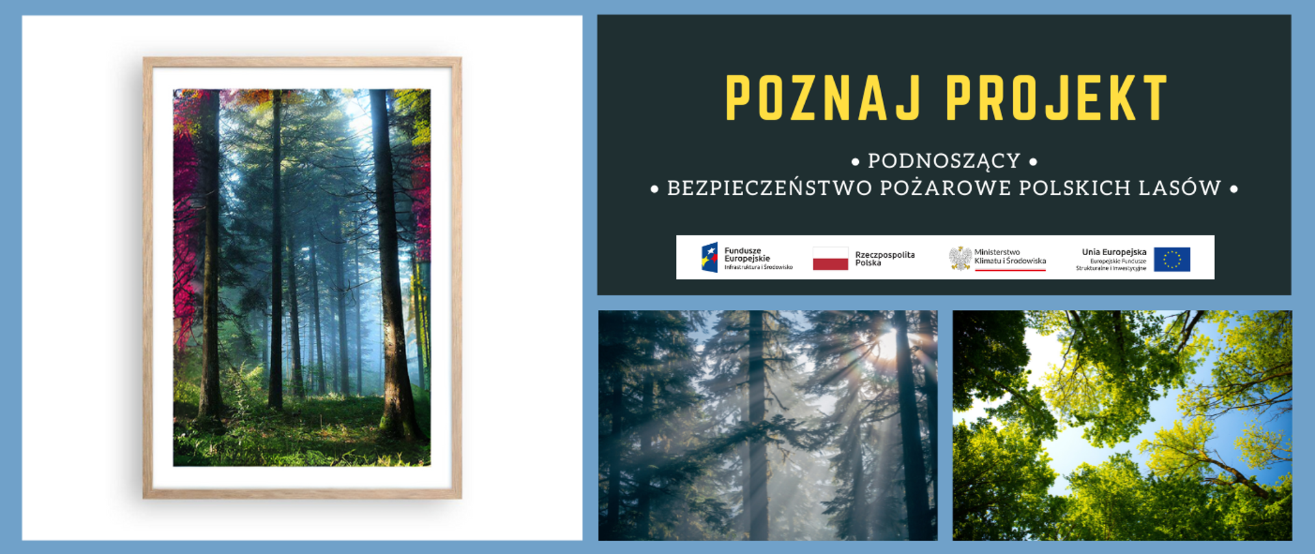 na głównym planie 3 zdjęcia zadrzewień leśnych ukazane przy słonecznej pogodzie. W prawym górnym rogu napisy. Poznaj projekt podnoszący bezpieczeństwo pożarowe polskich lasów. 