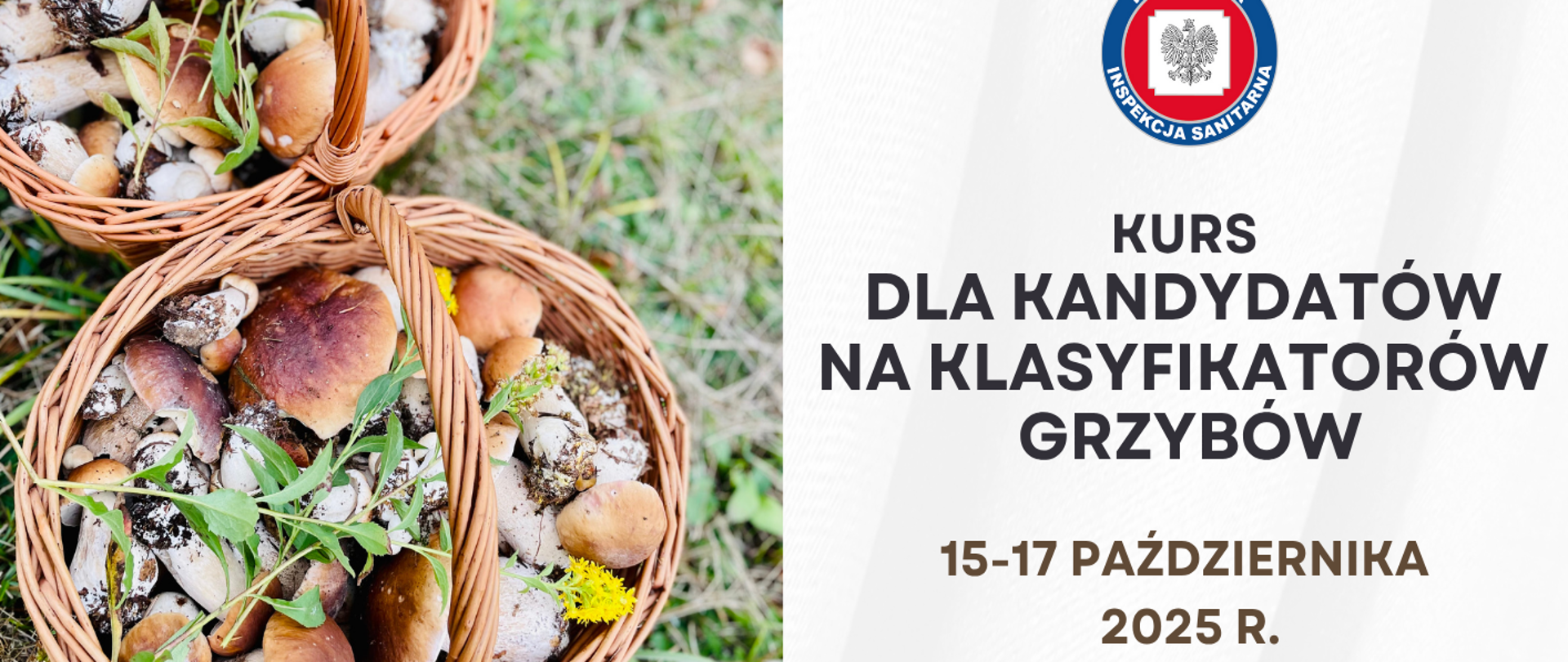 Kurs dla kandydatów na klasyfikatorów grzybów - 15-17 października 2025 r. Dębowy Dwór w Rudzie Różanieckiej
Liczba miejsc ograniczona. Zgłoszenia pod adresem grzyby.wsse.rzeszow@sanepid.gov.pl