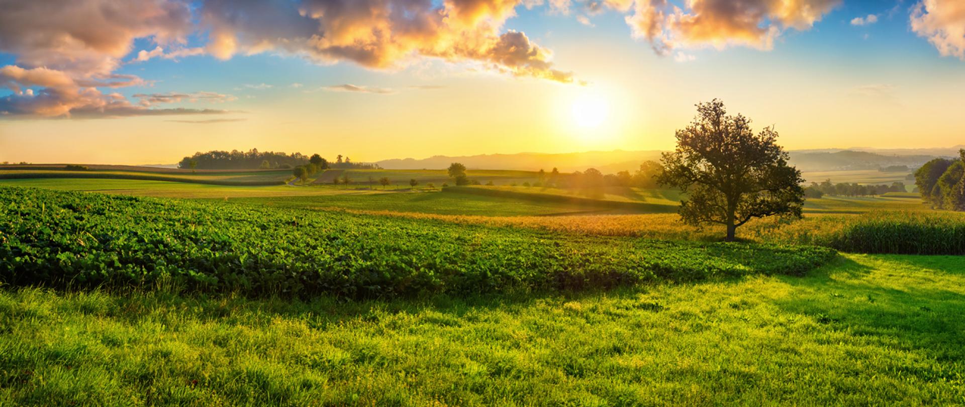 wiejski krajobraz o wschodzie słońca