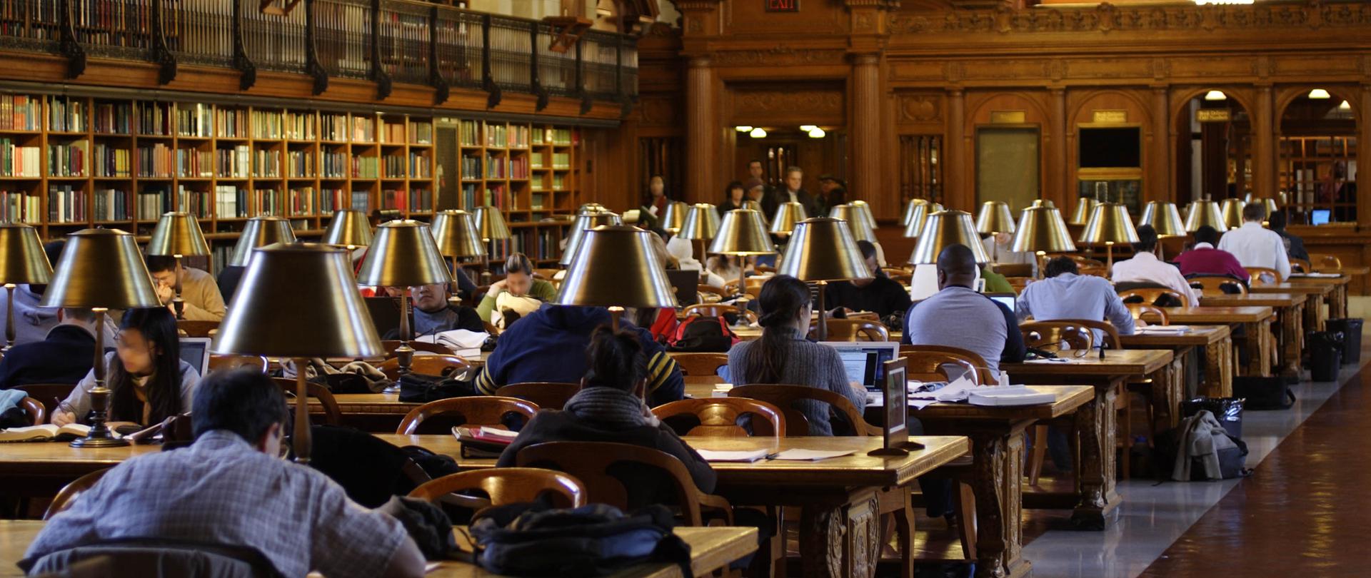 Biblioteka, przy stolikach siedzą czytający studenci.