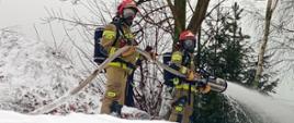 Dwóch strażaków w maskach ochronnych i pełnym umundurowaniu PSP stoi na pokrytym pianą terenie, trzymając wąż strażacki podłączony do prądownicy, z której pod dużym ciśnieniem. W tle widać drzewa bez liści. 