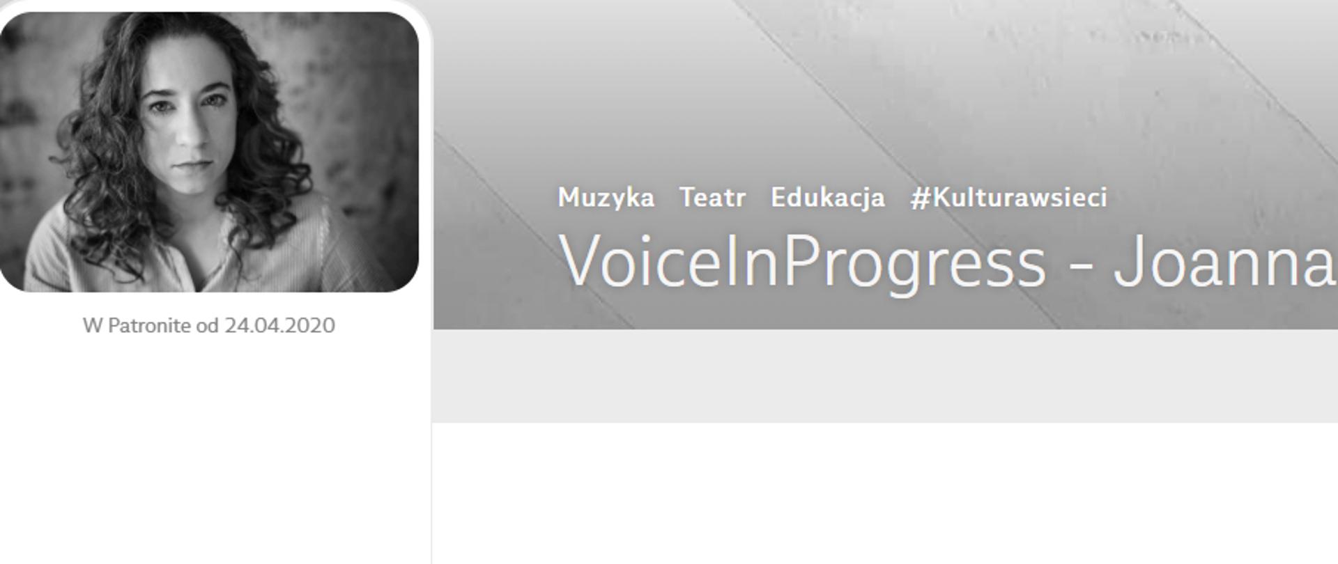VoiceInProgress