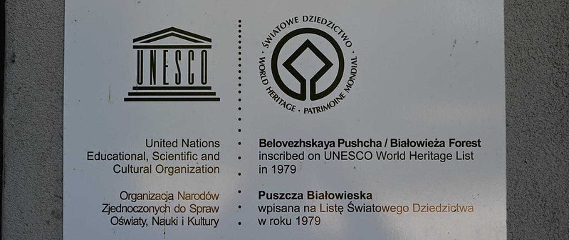 Projekt Planu zarządzania Puszczą Białowieską 