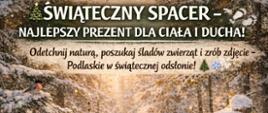 ŚWIĄTECZNY SPACER – NAJLEPSZY PREZENT DLA CIAŁA I DUCHA