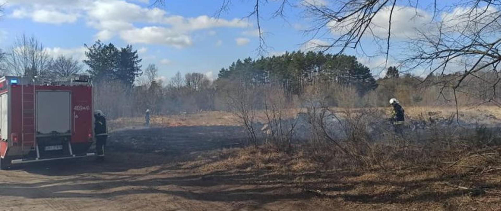 Z lewej strony zdjęcia widać czerwony wóz strażacki. W tle widać akcję gaśniczą. Trawa objęta jest pożarem. Strażacy w białych hełmach prowadzą akcję gaśniczą.