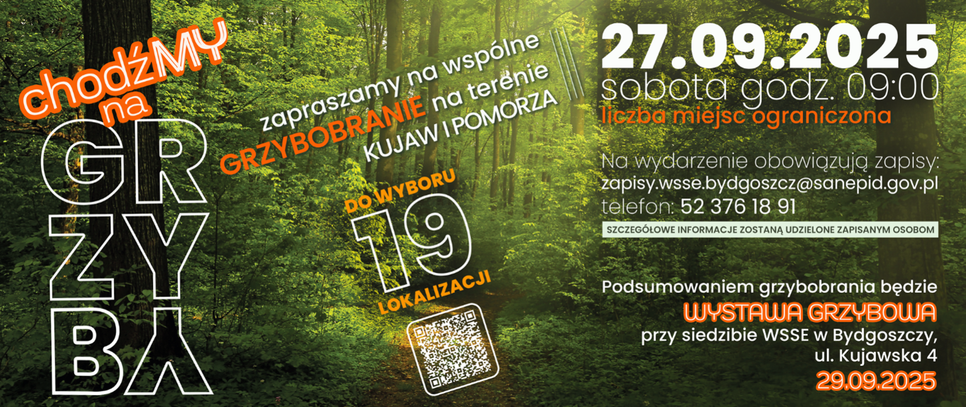 Baner akcji chodźmy na grzyby