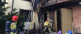 Strażacy rozwijają linie gaśnicze do budynku objętego pożarem
