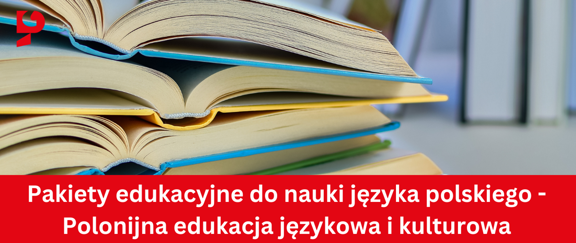 Pakiety edukacyjne do nauki języka polskiego - Polonijna edukacja językowa i kulturowa