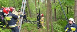 Zdjęcie przedstawia strażaków ustawiających drabinę do drzewa, na którym zawisł paralotniarz.