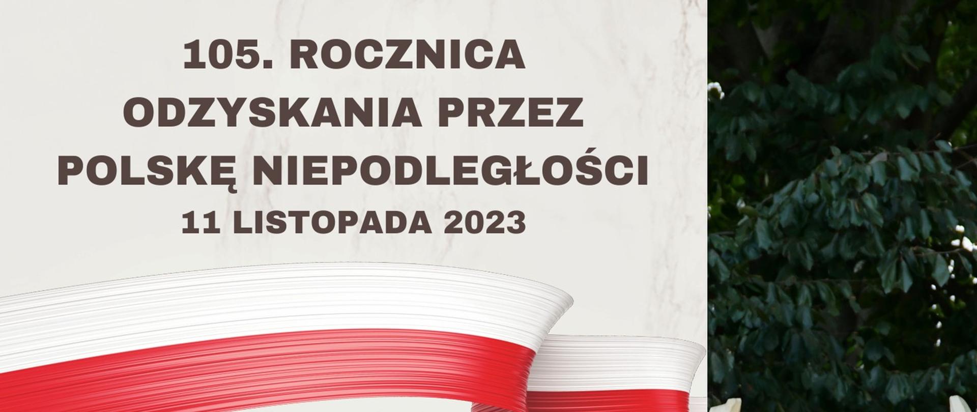 Grafika w jasnych odcieniach bieli przestawiająca po prawej stronie statuę orła i przechodzącą w górnej części wszerz Polską flagę narodową - barwy biało-czerwone. W tle znajduje się harmonogram Obchodów: "godz. 11.00 - Bolesławiecka Bazylika Maryjna - Msza Święta; godz. 12.00 - pomnik 100-lecia Odzyskania Niepodległości; godz. 13.15 - przemarsz ulicami miasta; w godz. 14.00-16.00 - piknik militarny; godz. 18.00 - koncert niepodległościowy - Teatr Stary."
