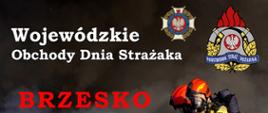 Wojewódzkie Obchody Dnia Strażaka 2025