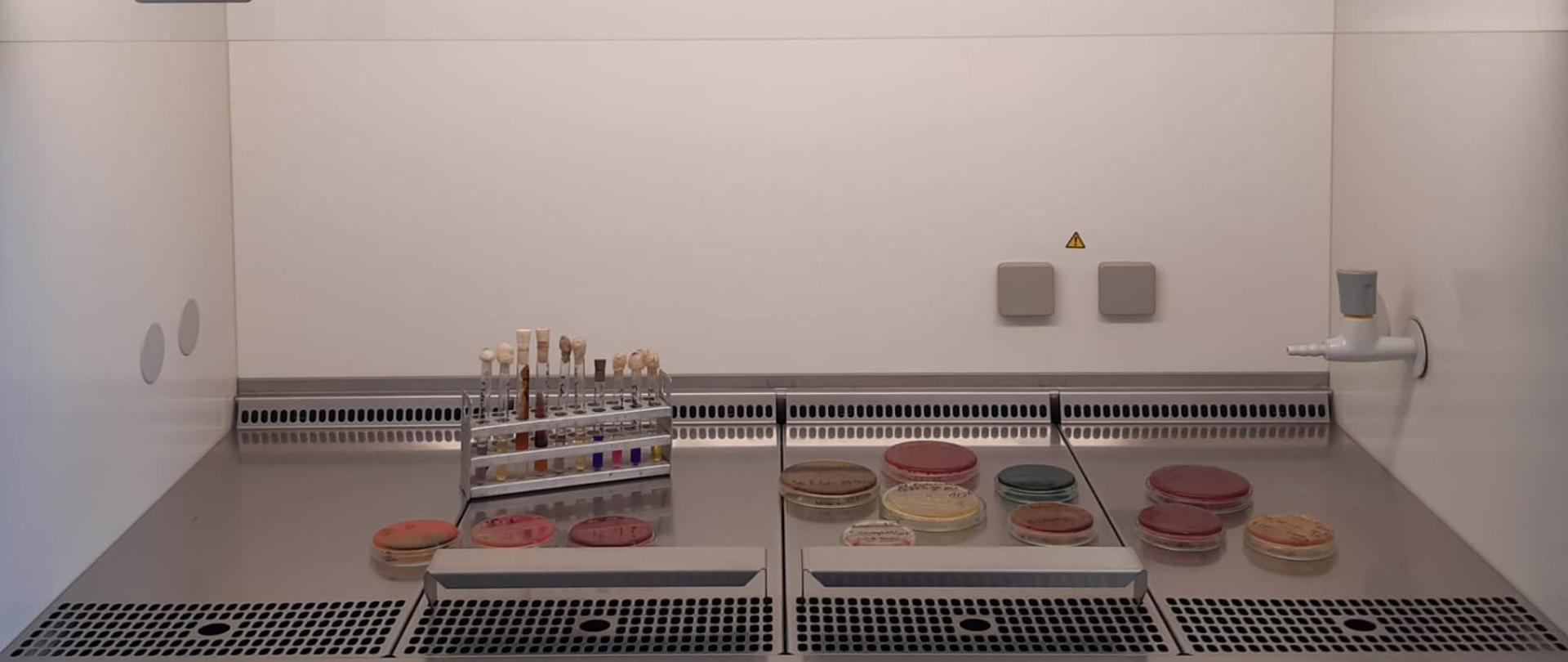 Obraz przedstawiający komorę laminarną obrazujący wykonywanie badań