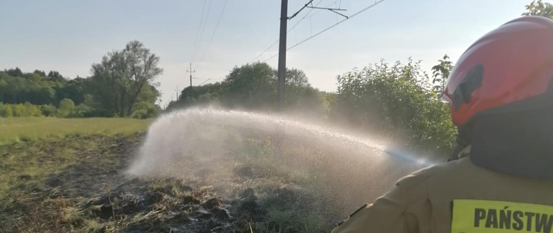 Zdjęcie przedstawia tory kolejowe obok których pali się trawa, na pierwszym planie widać strażaka, który gasi pożar trawy.