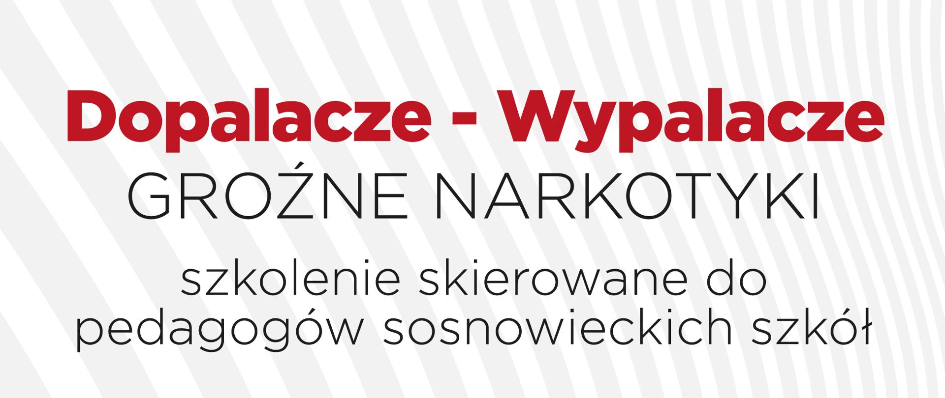 szkolenie dla pedagogów, Dopalacze - wypalacze, groźne narkotyki.