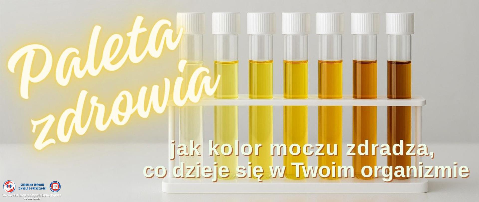 Zestaw probówek z różnymi odcieniami żółtego płynu – w estetycznej, laboratoryjnej aranżacji. Pokazuje różnorodność barw bez dosłowności