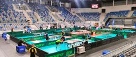 Zawodnicy grają przy stołach pinkpongowych. W tle widać trybuny.