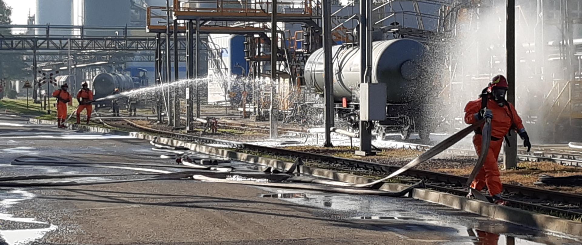 Ćwiczenia "Alventa".