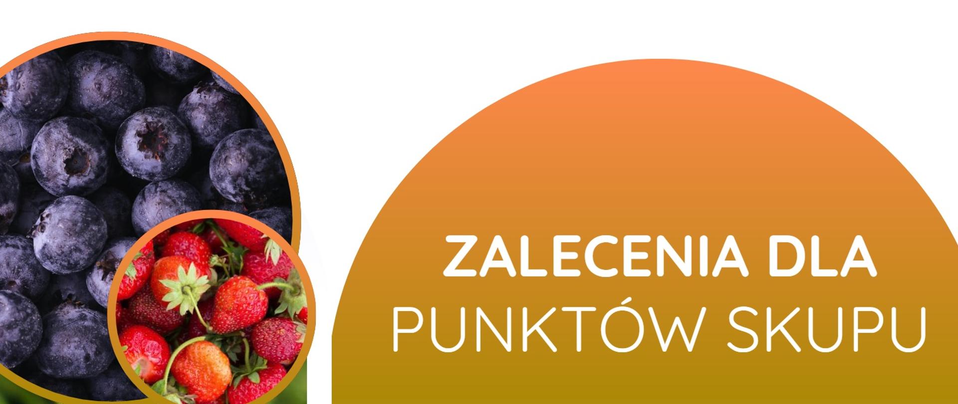 Zalecenia dla punktów skupu