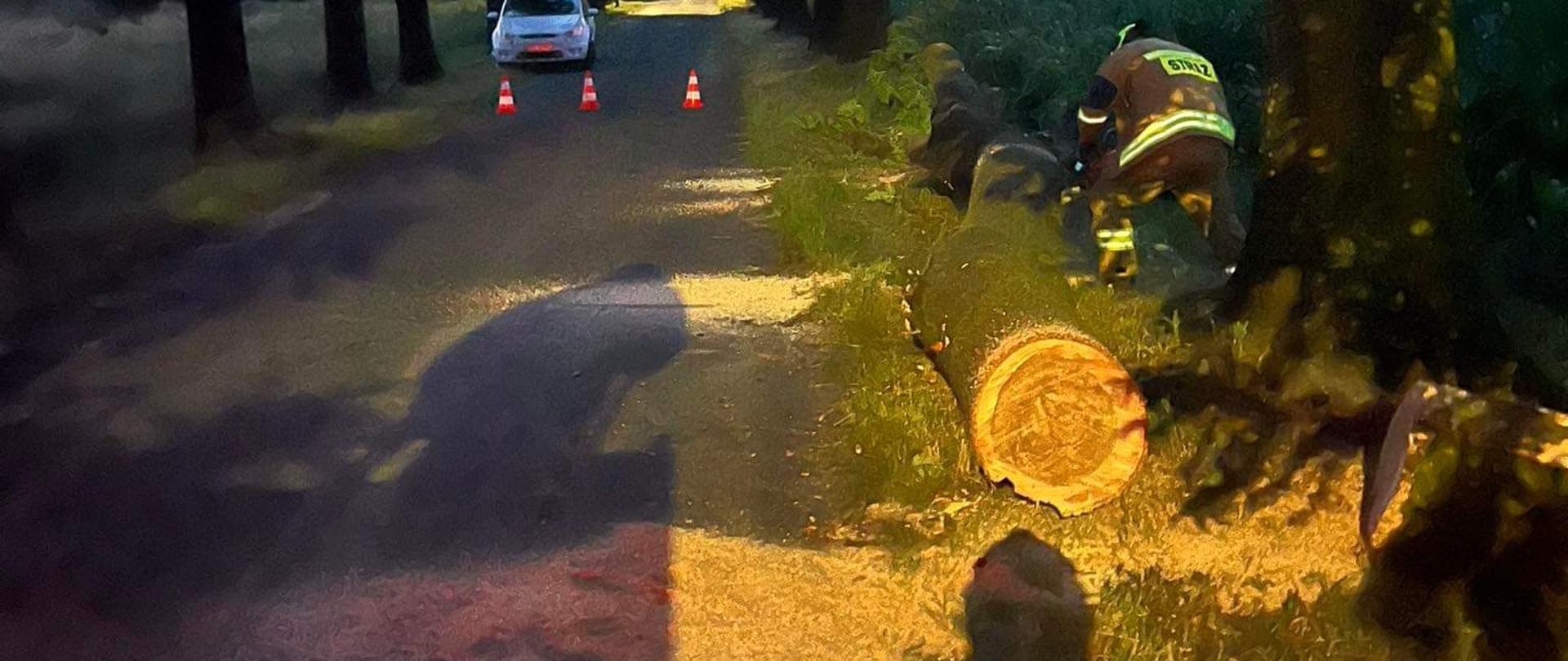 Strażak tnący powalone drzewo.