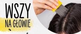 Wszy na głowie