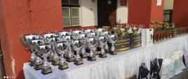 Puchary i nagrody dla uczestników stojące na stole.