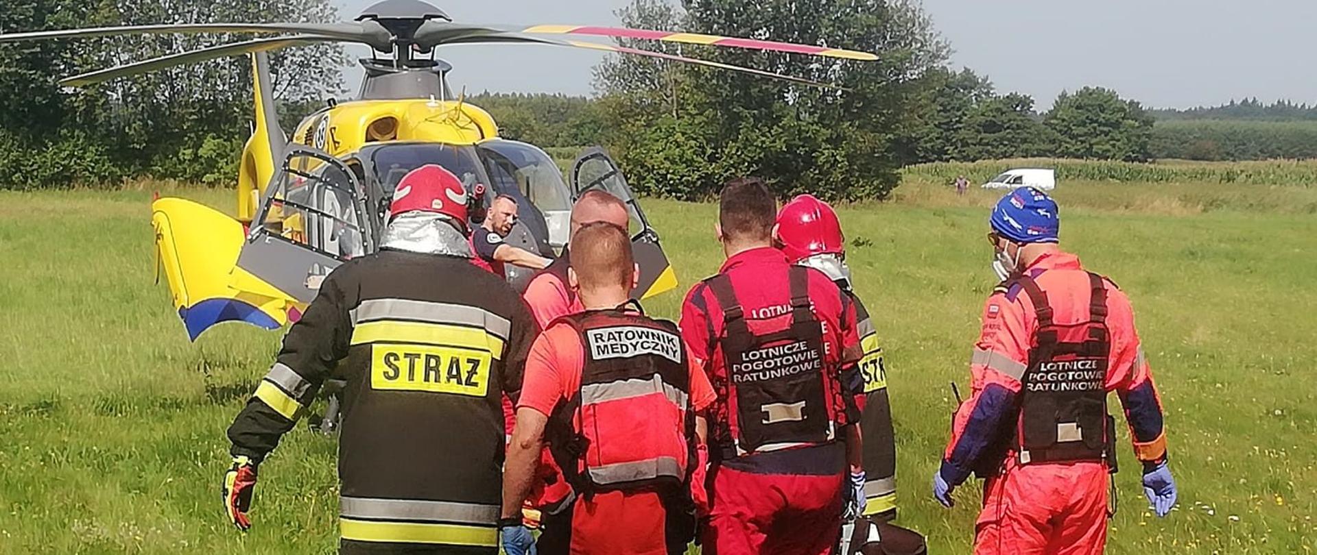 Zdjęcie przedstawia strażaków wraz z ratownikami medycznymi, którzy transportują poszkodowanego z wypadku do lotniczego pogotowia ratunkowego. Całość zdarzenia ma miejsce na łące, gdzie wylądował helikopter.