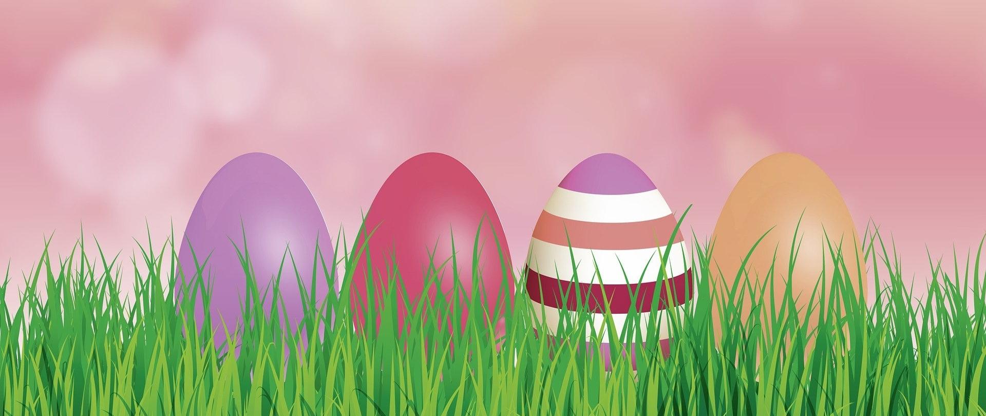 zdjęcie pisanek w trawie