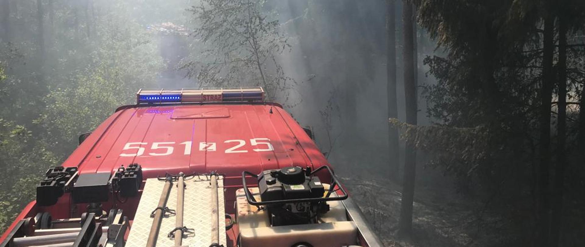 Zdjęcie przedstawia samochód strażacki podczas pożaru lasu.