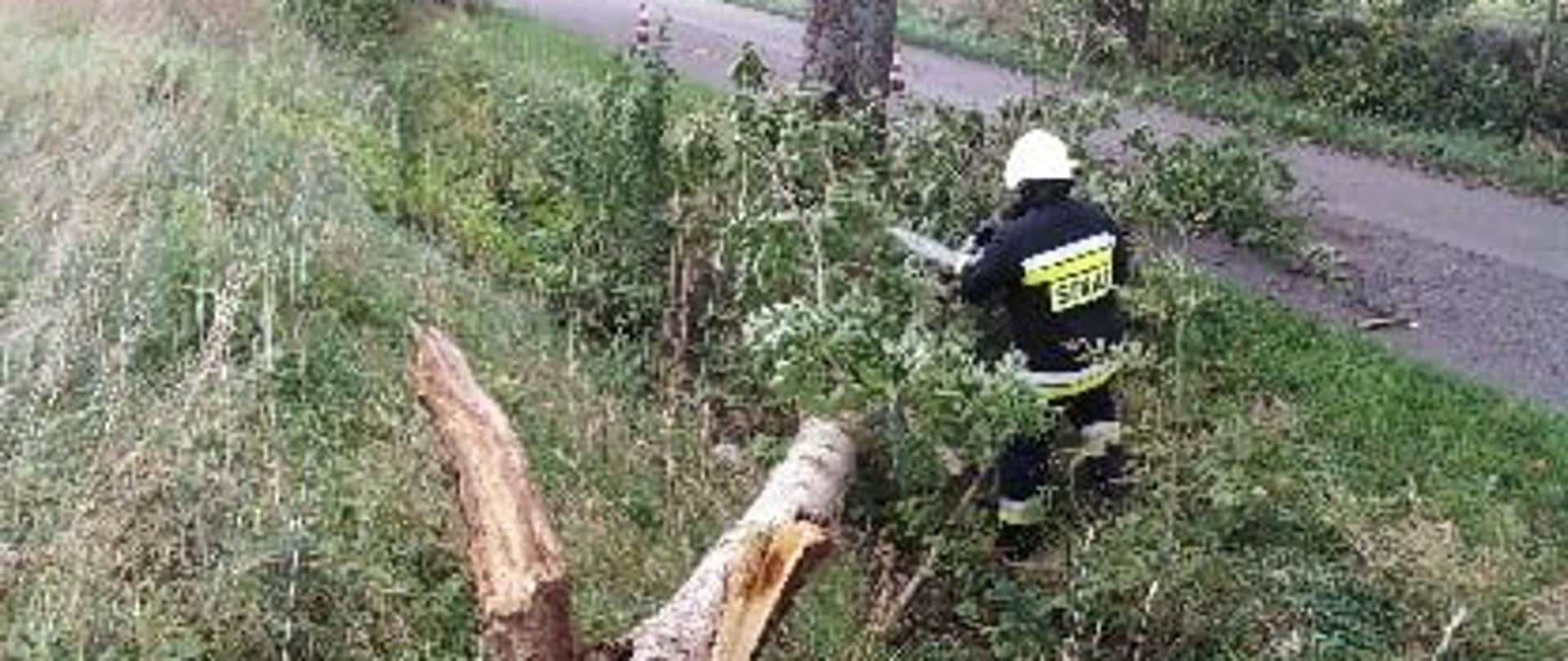 Strażak z piłą motorową usuwa z pobocza powalony konar drzewa. 