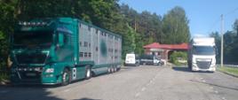 Ciężarówki zatrzymane do kontroli drogowej w miejscowości Smogorzów koło Buska-Zdroju. W tle oznakowane radiowozy ITD typu furgon.