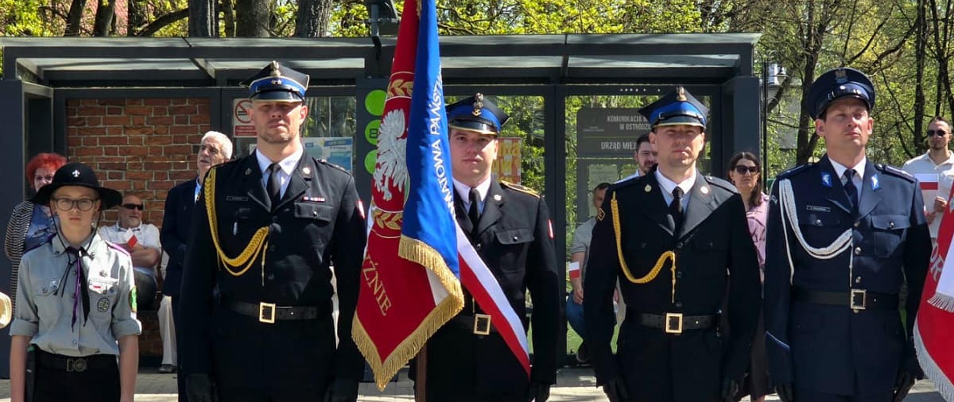 Obchody Narodowego Święta Konstytucji 3 Maja