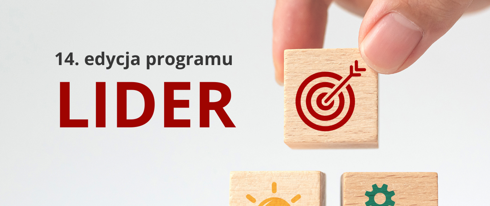 Grafika - na białym tle dłoń z klockiem z obrazkiem strzały trafiającej w środek tarczy i napis 14. edycja programu LIDER.