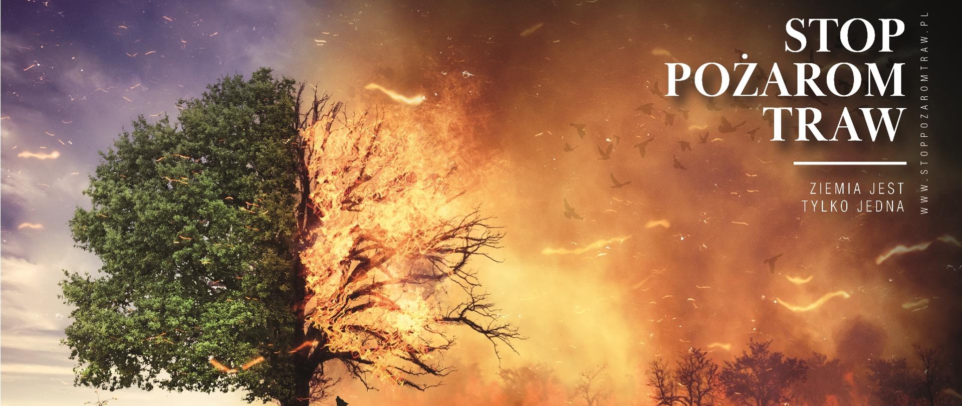 PLAKAT. Drzewo do połowy zielone, a od połowy objęte pożarem 
