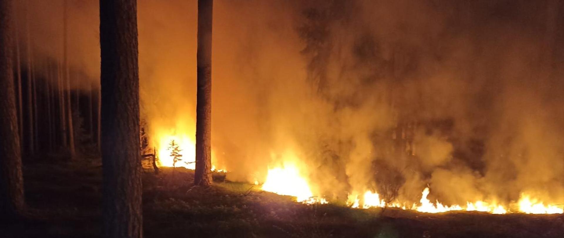 Grafika z pożarem lasu w nocy