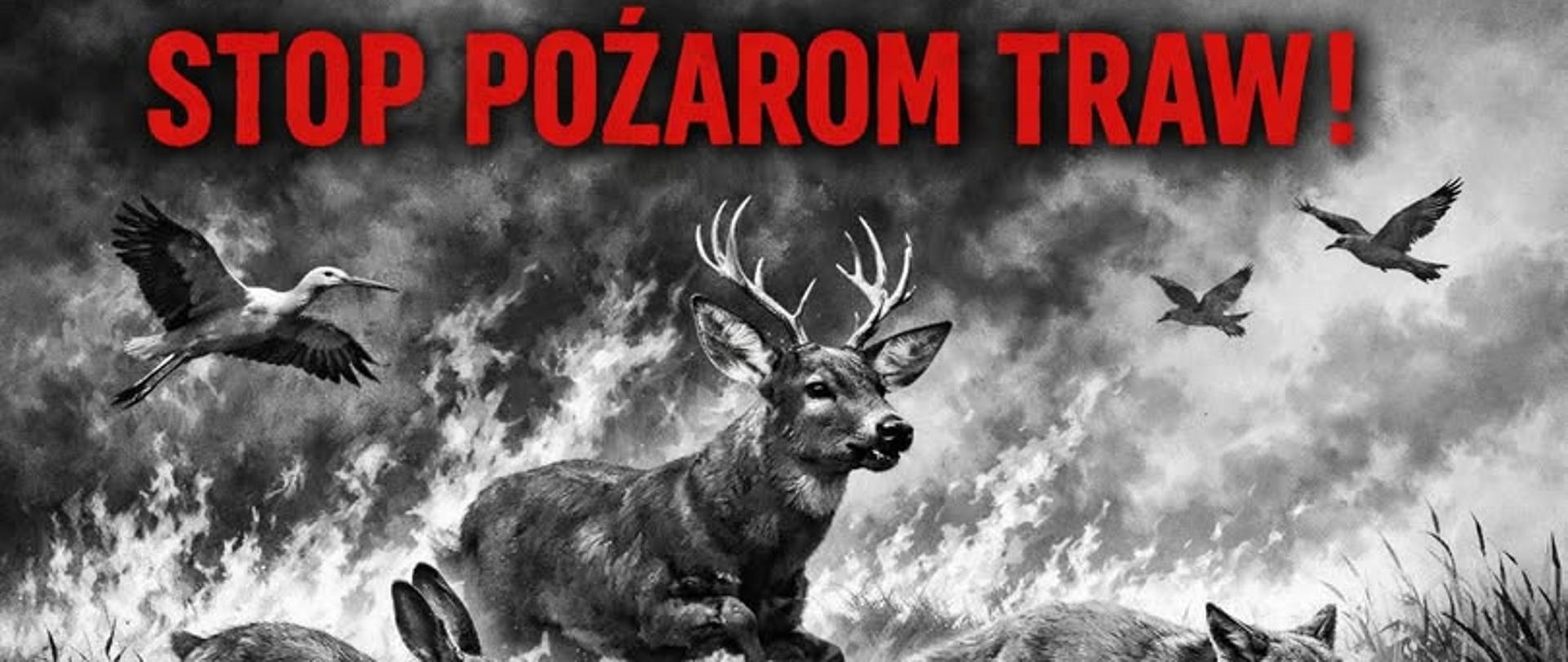 Stop pożarom traw 