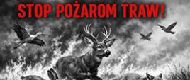 Stop pożarom traw 