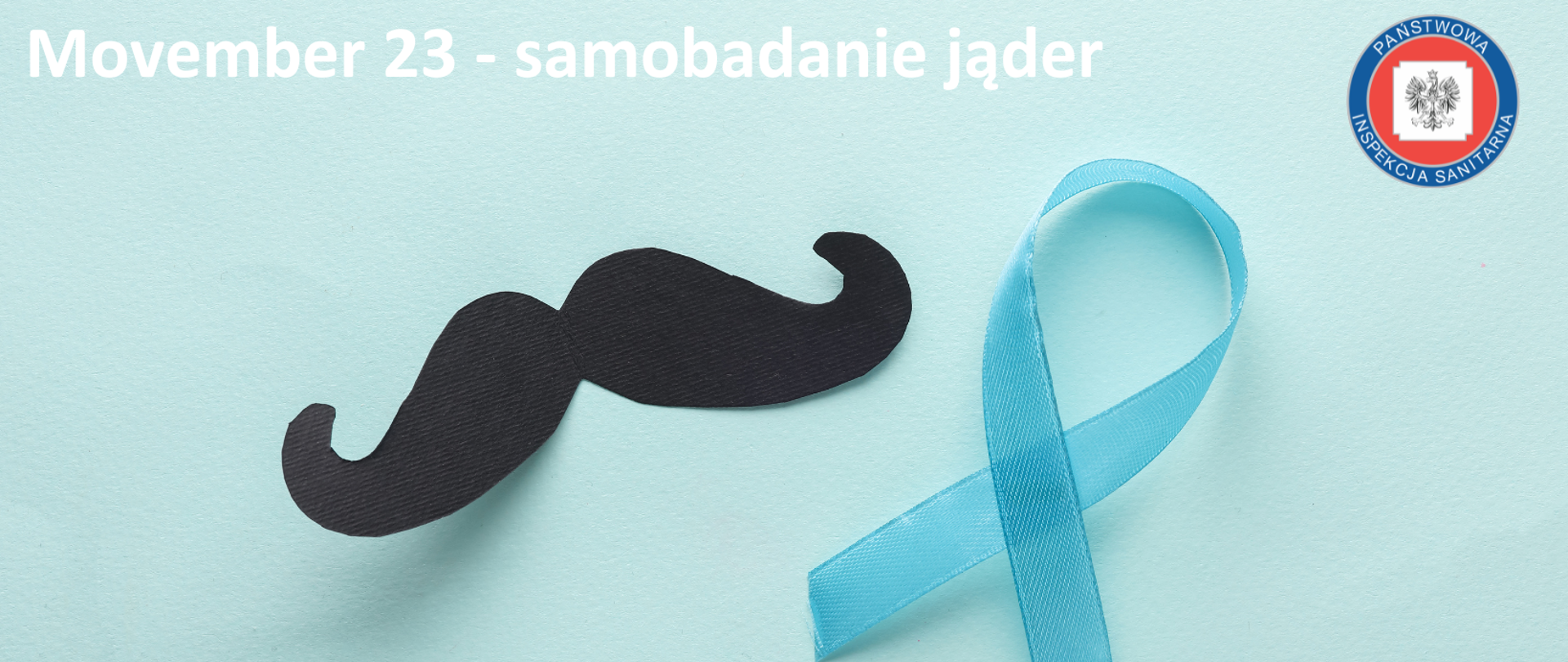 Idea kampanii Movember - przez cały listopad mężczyźni zapuszczają wąsy, aby wzbudzić ciekawość otoczenia oraz zapoczątkować dyskusję na temat profilaktyki oraz zachorowalności na nowotwory prostaty oraz jąder
