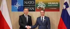 NATO Summit in Vilnius 2023
